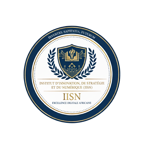 IISN - Institut d'Innovation, de Stratégie et de Numérique